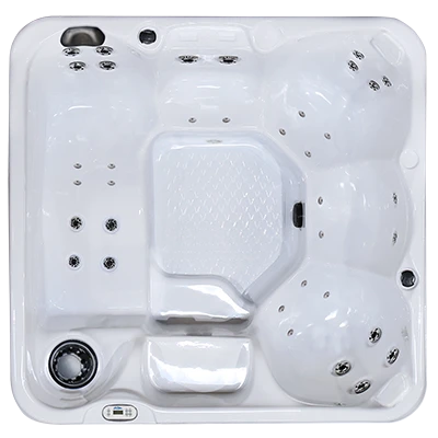 Hawaiian PZ-636L hot tubs for sale in Oceanside